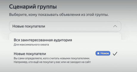 Сценарий для привлечения новых клиентов в Директе